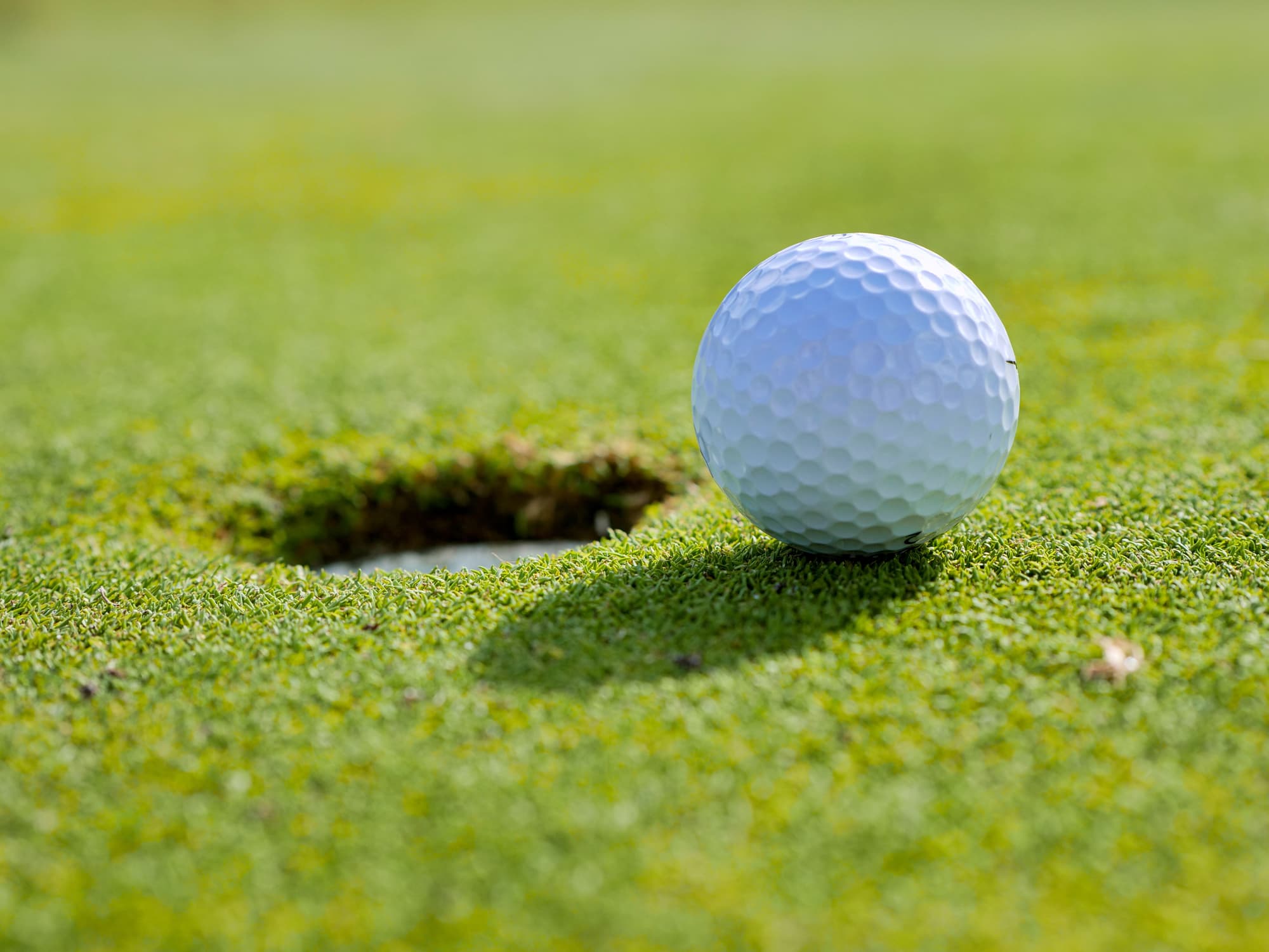 A white golf ball resting at the edge of the cup on a sunlit putting green